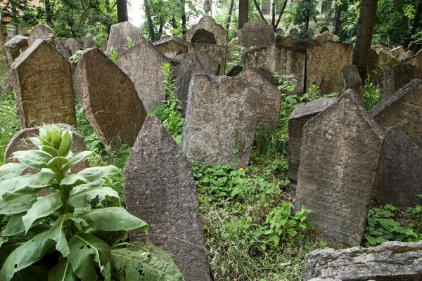 Zeer Oude Joodse Begraafplaats Met Veel Shabby Stenen Grafstenen — Stockfoto