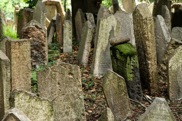 Bardzo Stary Cmentarz Żydowski Mnóstwem Kamiennych Nagrobków — Zdjęcie stockowe