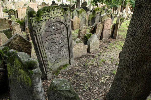 Antiguo Cementerio Judío Con Muchas Lápidas Piedra Asquerosa —  Fotos de Stock