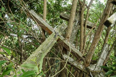 Litvanya 'daki Iauliai' nin haç tepesindeki resim. Bu dini mekanlarda birçok haç var ve çoğu eski ve terk edilmiş..