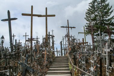Litvanya 'daki Iauliai' nin haç tepesindeki resim. Bu dini mekanlarda birçok haç var ve çoğu eski ve terk edilmiş..