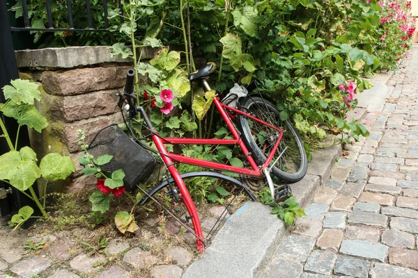 Bicicleta Vermelha Sem Uma Roda Dianteira Está Deitada Rua Arbusto — Fotografia de Stock