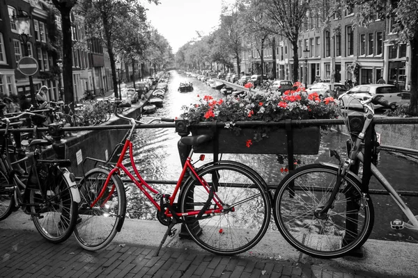 Amsterdam 'daki kanalın üzerindeki köprüde kırmızı bir bisikletin resmi. Arkaplan siyah beyaz.