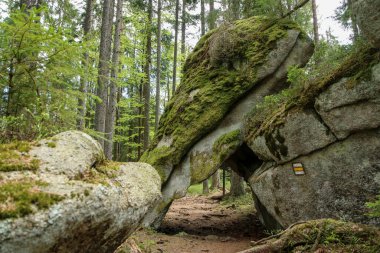 Çek Cumhuriyeti 'ndeki Sumava Ulusal Parkı' nın derin ormanlarındaki kayalar. Bu, Bear patikasının bir parçasıdır (