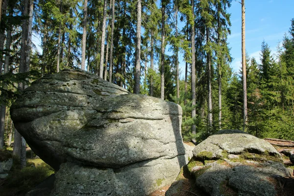 Les Rochers Dans Les Bois Profonds Parc National Sumava République — Photo