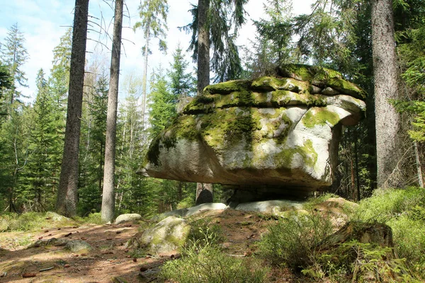 チェコ共和国のスマヴァ国立公園の深い森の中の岩 これはベアトレイルの一部です メドベーディ シュテスカ — ストック写真