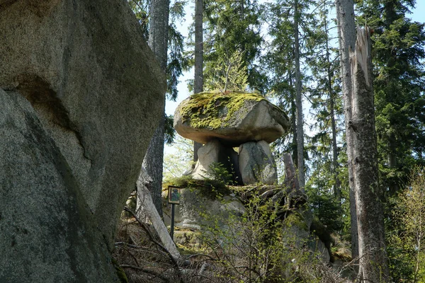 Rotsen Diepe Bossen Van Sumava Nationaal Park Tsjechië Dit Een — Stockfoto