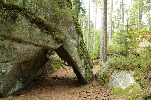 Les Rochers Dans Les Bois Profonds Parc National Sumava République — Photo