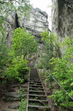 Çek Cumhuriyeti 'nde 