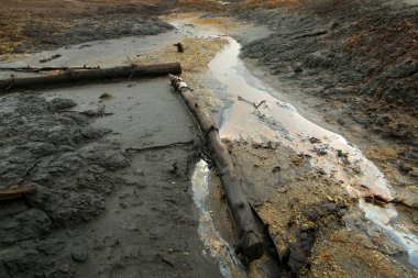 Çek Cumhuriyeti 'nin ulusal koruma alanından SOOS adlı resim. Eski turba madencilik alanı..