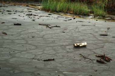Çek Cumhuriyeti 'nin ulusal koruma alanından SOOS adlı resim. Eski turba madencilik alanı..