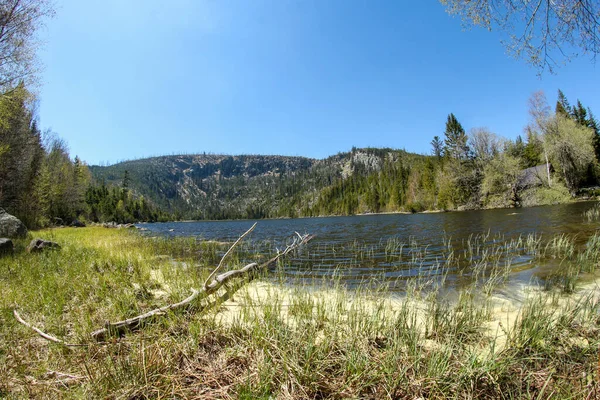 Plesne Jezero República Checa Parque Nacional Sumava Durante Primavera Agua — Foto de Stock