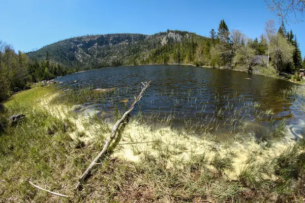 Plesne Jezero República Checa Parque Nacional Sumava Durante Primavera Agua — Foto de Stock