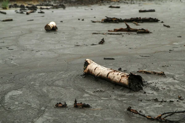 The picture from the national protected area in Czech Republic called SOOS. The former peat mining area.