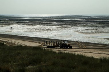 Fransa 'da, Gouville-sur-Mer' deki istiridye çiftliğinden çekilen resim..