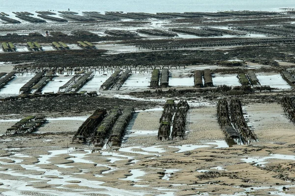 Picture Oyster Farm Normandy France Gouville Sur Mer Low Tide — Stock Photo, Image