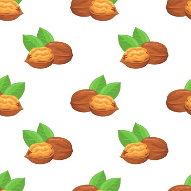 Beyaz Arkaplanda Yeşil Yapraklarla Kusursuz Cevizsiz Ceviz Kalıbı Vektör İllüstrasyonu