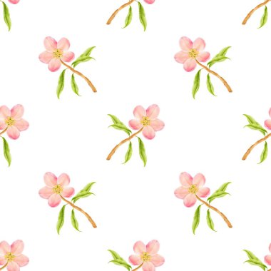 Kusursuz pembe çiçek desenli suluboya resimli beyaz arkaplan