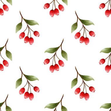 Beyaz Arkaplanda Kusursuz Rosehip Şube Şablonu Suluboya İllüstrasyonu