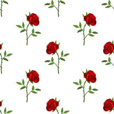 Beyaz Arkaplanda Kusursuz Çiçeksiz Çiçek Düzeni Suluboya Çizimi