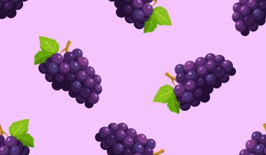 Mor üzümsüz arkaplan..