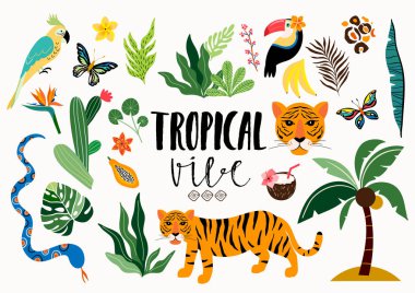      Beyaz üzerinde izole edilmiş farklı elemanlarla tropikal toplama 