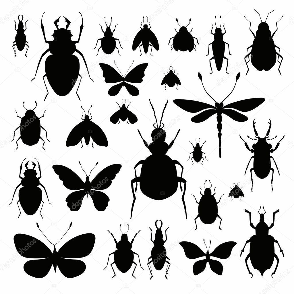      Insects silhouettes collection 