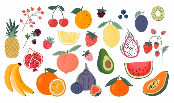Different Fruits Collection Doodle Style Isolated White — Stock Vector