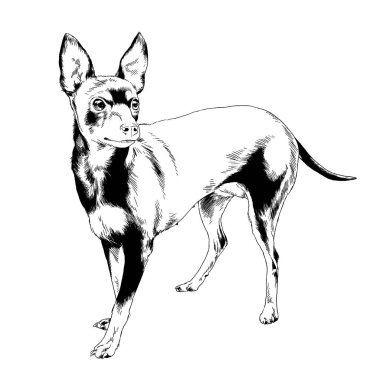 safkan köpek mürekkeple el ile beyaz bir arka plan üzerinde çizilmiş.