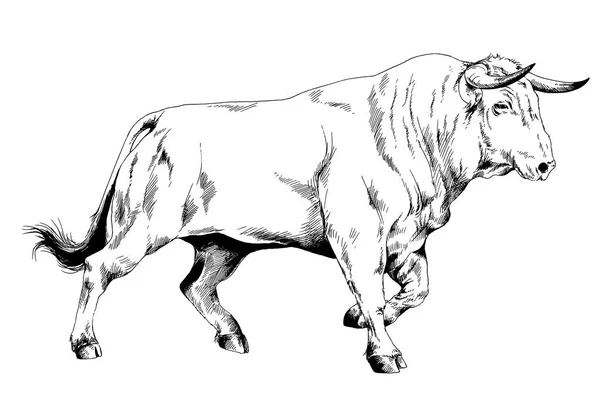 Puissant Énorme Buffalo Avec Cornes Dessinées Encre Croquis Main Levée — Photo