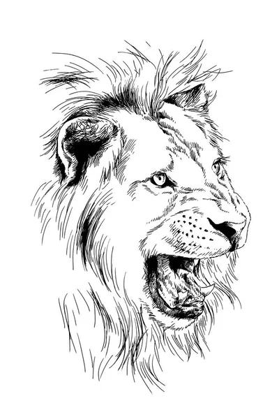 Löwe Mit Tusche Aus Den Händen Eines Raubtier Tattoo Logos — Stockfoto