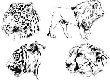 Yırtıcıların temasındaki vektör çizimleri mürekkep dövmeli logolarla elle çizilir.