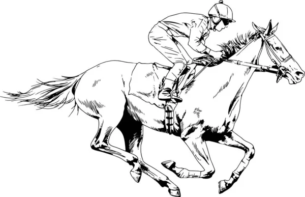 Jockey Sur Cheval Galopant Peint Encre Main Sur Fond Blanc — Image vectorielle