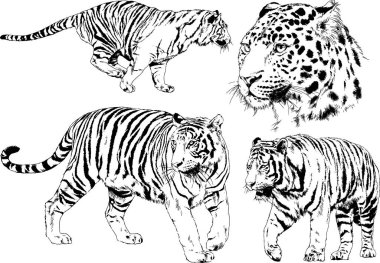 Yırtıcıların temasındaki vektör çizimleri mürekkep dövmeli logolarla elle çizilir.