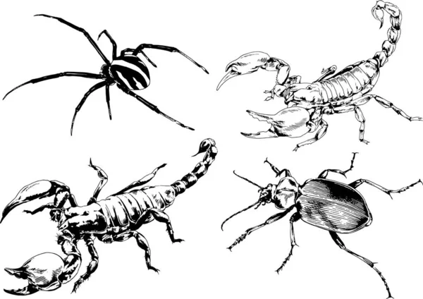 Vector Drawings Sketches Different Insects Bugs Scorpions Spiders Drawn Ink — Stock Vector