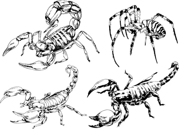 Dibujos Vectoriales Bocetos Insectos Diferentes Insectos Scorpions Arañas Dibujadas Con — Archivo Imágenes Vectoriales