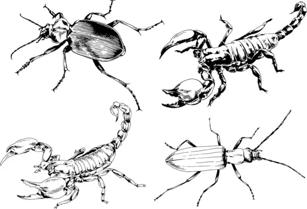 Vectortekeningen Schetst Verschillende Insecten Insecten Schorpioenen Spinnen Met Hand Getekend — Stockvector