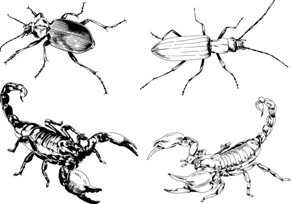 Desenhos Vetoriais Esboços Diferentes Insetos Insetos Escorpiões Aranhas Desenhadas Tinta —  Vetores de Stock