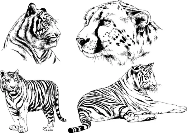 Yırtıcıların temasındaki vektör çizimleri mürekkep dövmeli logolarla elle çizilir.