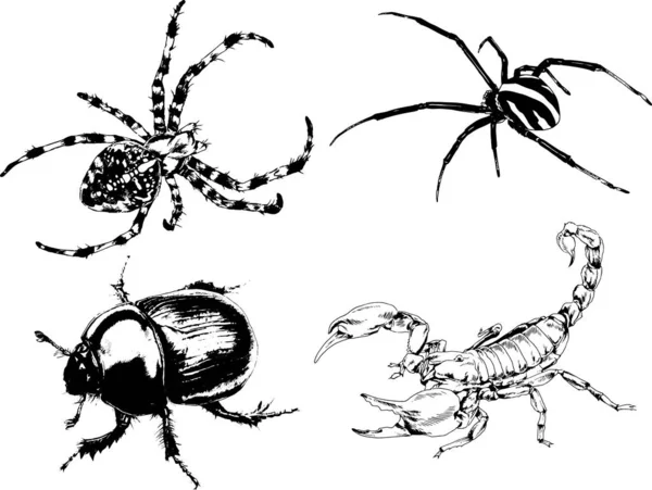 Dibujos Vectoriales Bocetos Insectos Diferentes Insectos Scorpions Arañas Dibujadas Con — Vector de stock