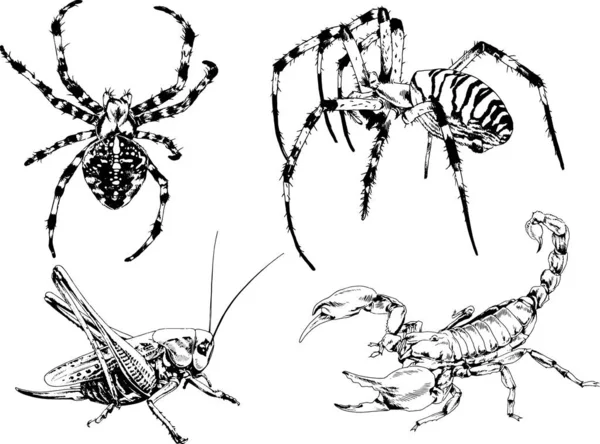 ベクトル図は異なる昆虫のバグをスケッチ手でインクで描かれたスコーピオンクモ 背景のないオブジェクト — ストックベクタ