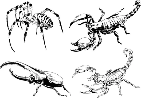 Vector Drawings Sketches Different Insects Bugs Scorpions Spiders Drawn Ink — Stock Vector