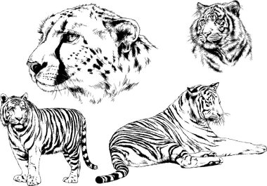 Yırtıcıların temasındaki vektör çizimleri mürekkep dövmeli logolarla elle çizilir.