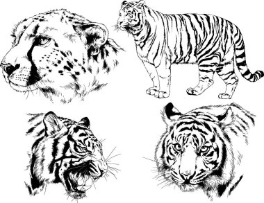 Yırtıcıların temasındaki vektör çizimleri mürekkep dövmeli logolarla elle çizilir.