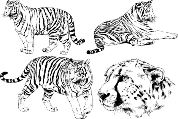 Conjunto De Planos Del Retratoストックベクター ロイヤリティフリーconjunto De Planos Del Retratoイラスト ページ 40 Depositphotos