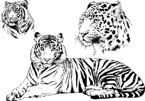 Conjunto De Planos Del Retratoストックベクター ロイヤリティフリーconjunto De Planos Del Retratoイラスト ページ 40 Depositphotos