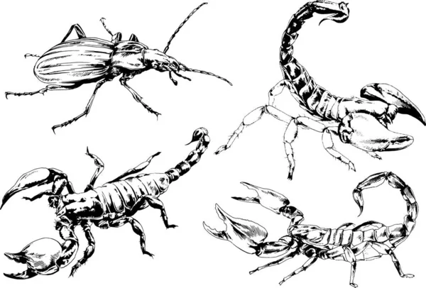 Dibujos Vectoriales Bocetos Insectos Diferentes Insectos Scorpions Arañas Dibujadas Con — Archivo Imágenes Vectoriales