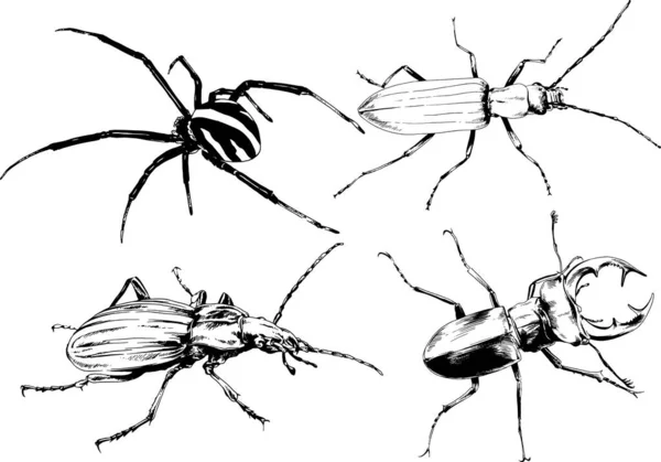 Vektorové Kresby Kreslí Různé Brouky Hmyzu Škorpióni Kreslení Inkoustem Rukou — Stockový vektor
