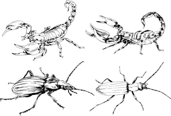ベクトル図は異なる昆虫のバグをスケッチ手でインクで描かれたスコーピオンクモ 背景のないオブジェクト — ストックベクタ