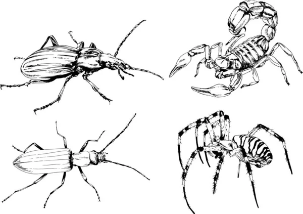 Desenhos Vetoriais Esboços Diferentes Insetos Insetos Escorpiões Aranhas Desenhadas Tinta —  Vetores de Stock